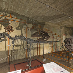 Exposição no Museu Nacional de História Natural e da Ciência
